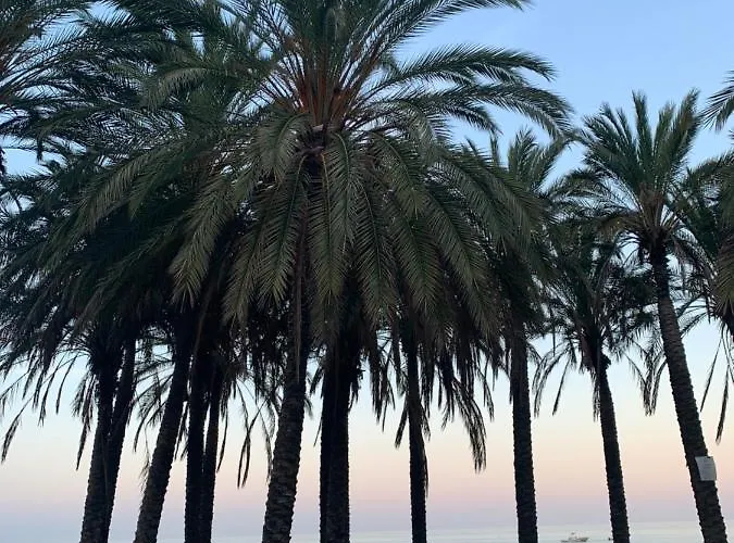 Carihuela A 300 Metros Playa Apartamento La Carihuela